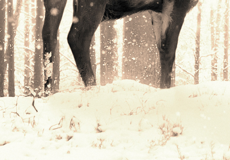 Carta da parati moderna Cervi nella foresta - paesaggio di foresta invernale con cervi su uno sfondo di alberi color seppia 126813 additionalImage 3