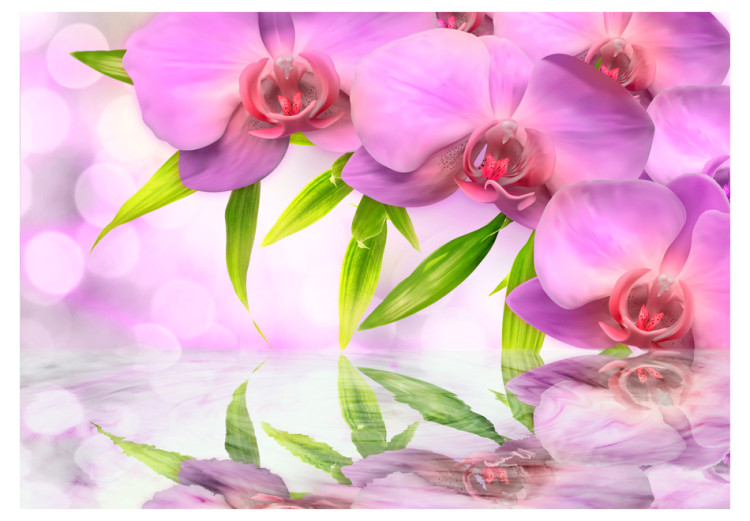 Carta da parati moderna Orchidee color lillà 60223 additionalImage 1