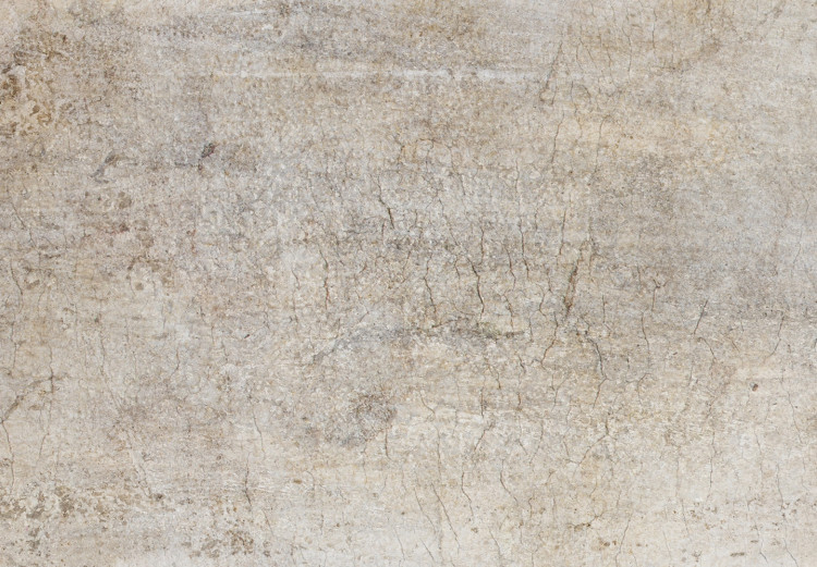 Carta da parati Ricordi beige - sfondo astratto in toni grigio chiaro 144543 additionalImage 4
