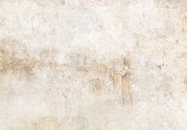 Carta da parati Ricordi beige - sfondo astratto in toni grigio chiaro 144543 additionalImage 3