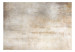 Carta da parati Ricordi beige - sfondo astratto in toni grigio chiaro 144543 additionalThumb 1