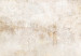 Carta da parati Ricordi beige - sfondo astratto in toni grigio chiaro 144543 additionalThumb 3