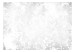 Carta da parati moderna Foglie Pastello - Motivo Naturale in Composizione Astratta argentea 144663 additionalThumb 1