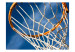 Carta da parati Sport - pallacanestro 61163 additionalThumb 1