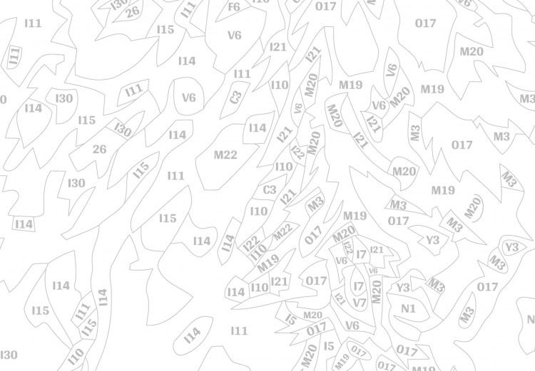 Quadri da dipingere Lupo - Set per dipingere con i numeri per gli adulti  Bimago