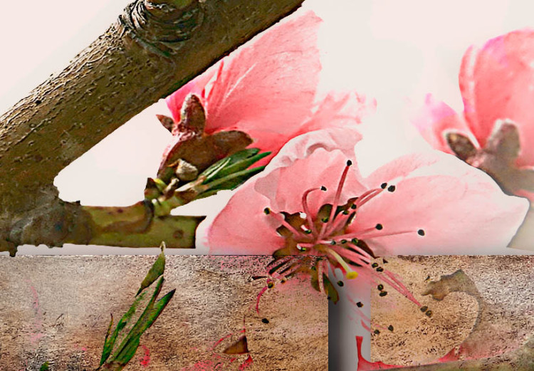 Stampa su tela Fiori di ciliegio - Altri fiori - Fiori - Quadri