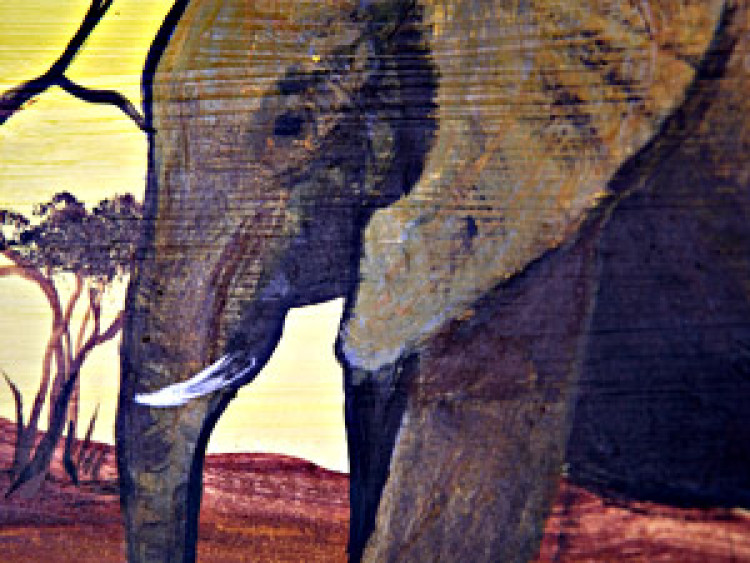 Quadro moderno Elefanti africani - animali della savana al tramonto 49454 additionalImage 2