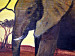 Quadro moderno Elefanti africani - animali della savana al tramonto 49454 additionalThumb 2