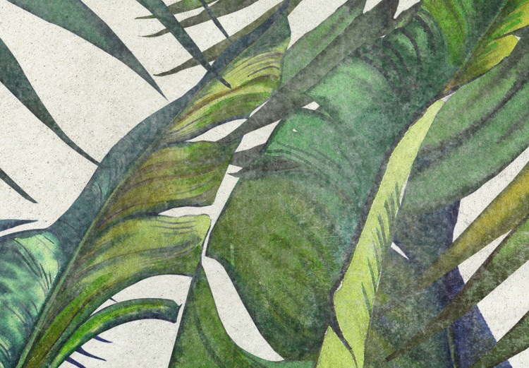 Carta da parati Natura selvaggia - motivo esotico di foglie verdi con disegni e sfondo 142994 additionalImage 4
