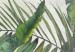 Carta da parati Natura selvaggia - motivo esotico di foglie verdi con disegni e sfondo 142994 additionalThumb 3