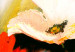 Quadro contemporaneo Vento nei prati (3 parti) - fiori di campo e papaveri su erba verde 47494 additionalThumb 5