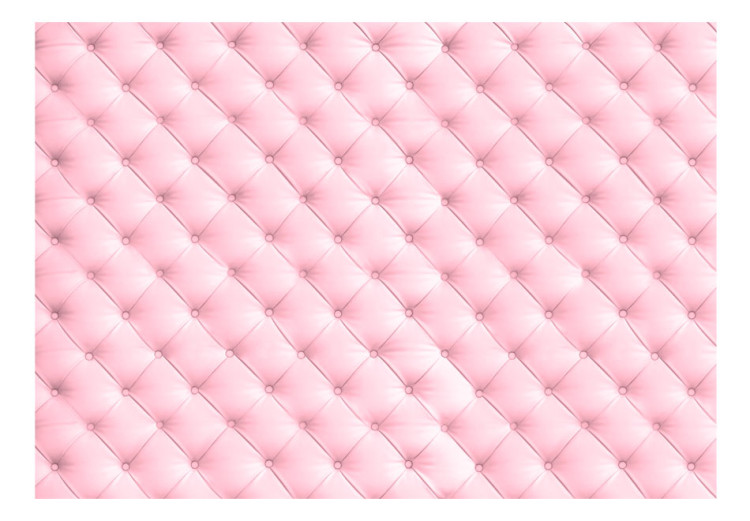 Carta da parati Dolce Schiuma - composizione con texture di pelle rosa e imbottitura 97094 additionalImage 1