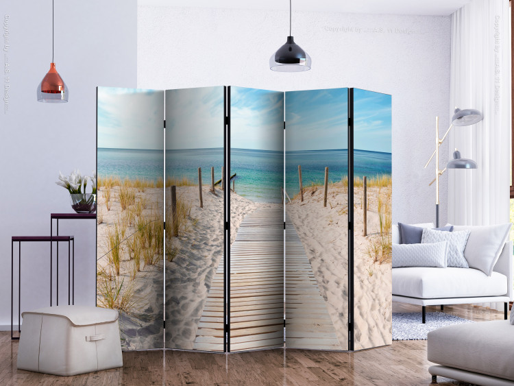 Paravento Da Spiaggia E Campeggio Pieghevole – Tessuto Oxford 210D, 250x70 Cm, Antivento E Per Privacy