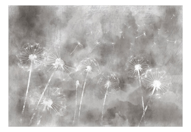 Carta da parati moderna Soffioni e vento - fiori su sfondo irregolare in grigio 143545 additionalImage 1