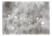 Carta da parati moderna Soffioni e vento - fiori su sfondo irregolare in grigio 143545 additionalThumb 1