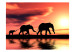 Carta da parati Elefanti: famiglia 61345 additionalThumb 1