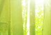 Quadro su tela The bamboos 58855 additionalThumb 4