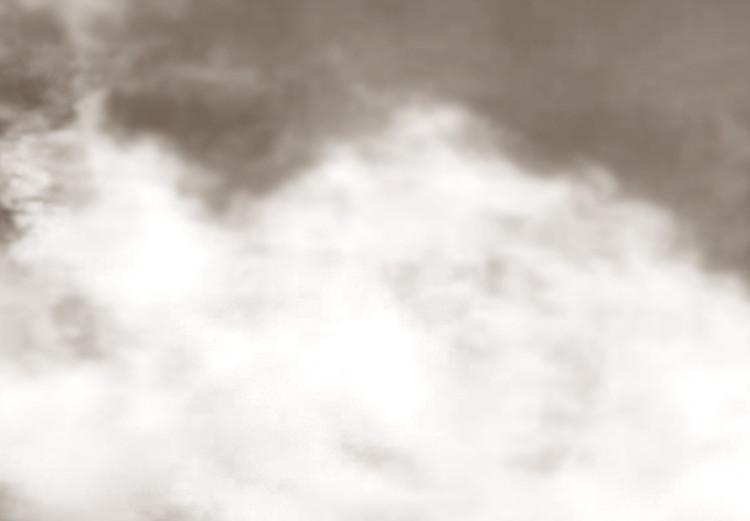 Quadro contemporaneo Assedio del tempo - foto in bianco e nero dell'artistico paradiso 122675 additionalImage 5