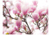 Carta da parati moderna Rami di magnolia in fiore 60416 additionalThumb 1
