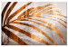 Quadro Palma marrone - una foglia divisa di alberi in rame-marrone 135426