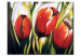Quadro contemporaneo Nel regno dei tulipani 47266