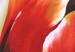 Quadro contemporaneo Nel regno dei tulipani 47266 additionalThumb 2