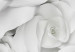 Carta da parati moderna Boccioli di rose in bianco e nero - modello monocromatico con petali di fiori 137476 additionalThumb 3