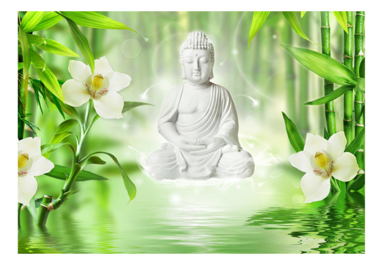 Carta da parati Buddha e natura 61407 additionalImage 1
