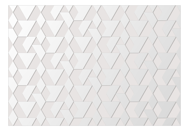 Carta da parati Forme Geometriche - Composizione Minimalista in Colore Chiaro 144627 additionalImage 1
