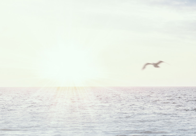 Carta da parati moderna Sabbia ventosa - paesaggio con spiaggia e mare calmo al tramonto 143947 additionalImage 4