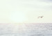 Carta da parati moderna Sabbia ventosa - paesaggio con spiaggia e mare calmo al tramonto 143947 additionalThumb 4