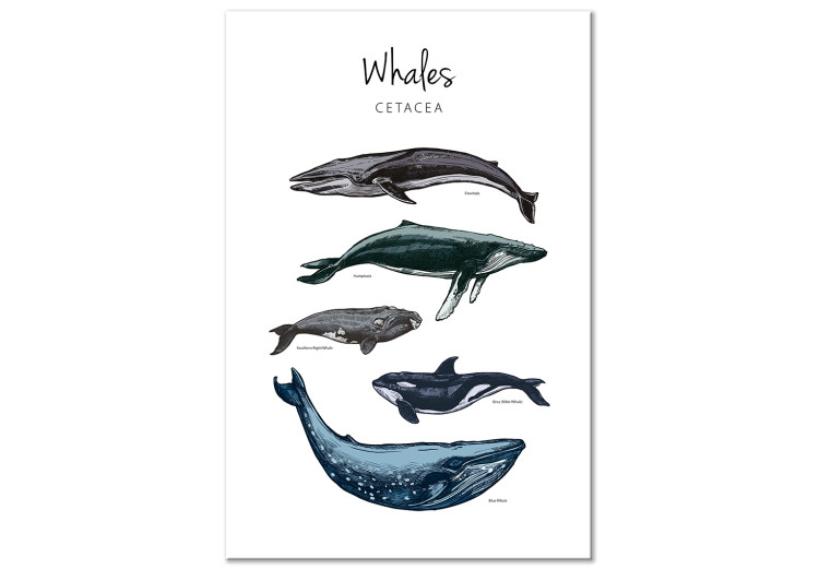 Quadro moderno Whales (1 Part) Vertical 126857