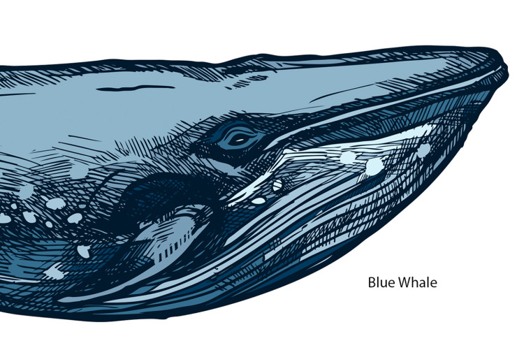 Quadro moderno Whales (1 Part) Vertical 126857 additionalImage 5