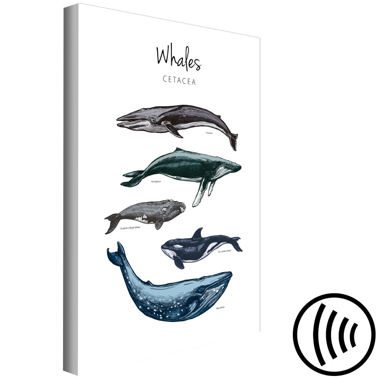Quadro moderno Whales (1 Part) Vertical 126857 additionalImage 6