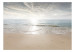 Carta da parati Sabbia e sole - mare calmo e spiaggia con impronte dei piedi 144057 additionalThumb 1