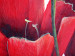 Quadro Tulipani gioiosi (1 pezzo) - Fiori rossi su sfondo pastello 48667 additionalThumb 2