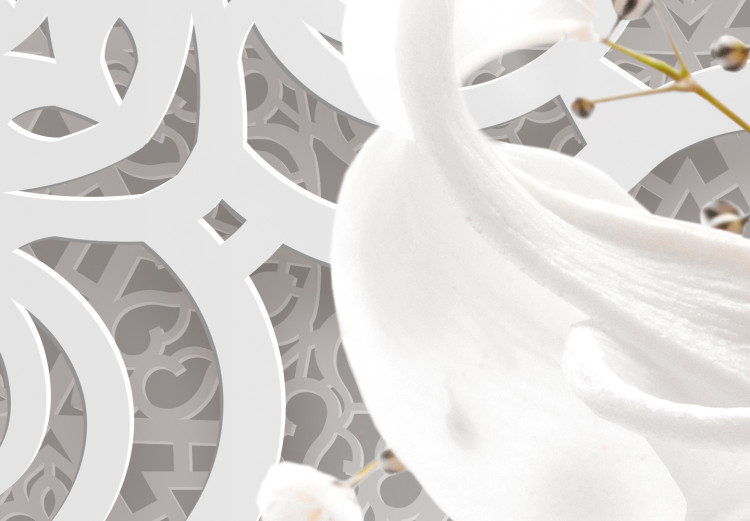 Carta da parati Ornamenti esotici - composizione con motivo floreale su sfondo bianco 108097 additionalImage 3