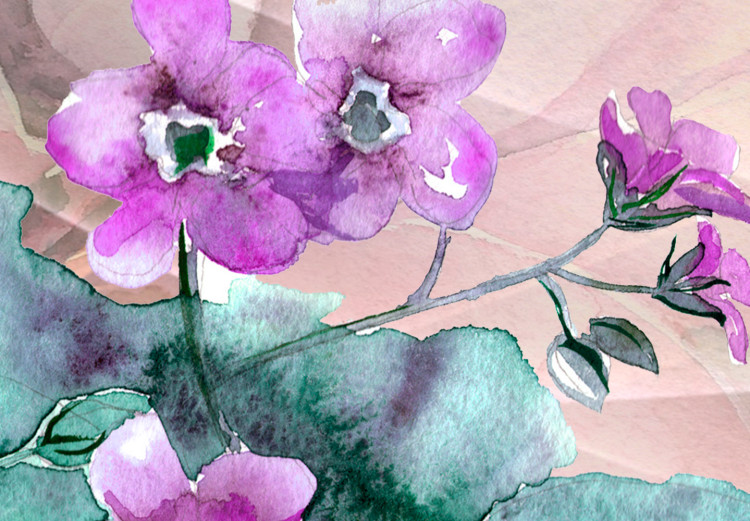 Carta da parati moderna Colibrì - uccelli su sfondo di fiori colorati in toni viola e rosa 106708 additionalImage 7
