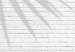 Carta da parati moderna Leafy Illusion - A Shadow of Plant Leaves on a White Brick Wall Background 145118 additionalThumb 4