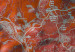 Quadro contemporaneo Mappa di Barcellona - Foto di un piano città su uno sfondo rosso 131628 additionalThumb 4