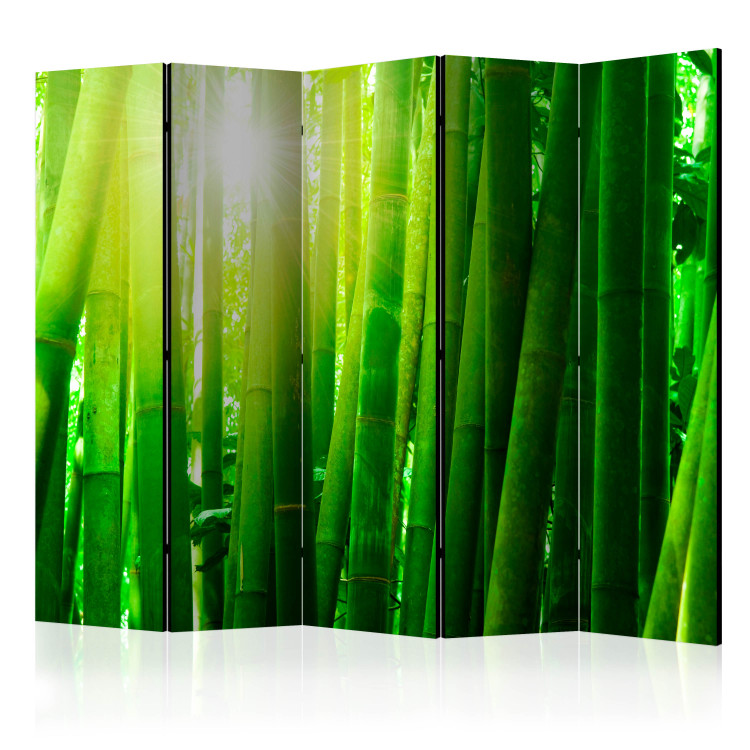 Paravento design Sun and bamboo II [Room Dividers] 133248