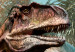 Carta da parati moderna Tirannosauro a caccia - dinosauro nella giungla con alberi per bambini 142748 additionalThumb 8