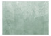 Carta da parati moderna Foglie a strisce - disegno bianco di foglie su sfondo verde a righe 143798 additionalThumb 1