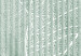 Carta da parati moderna Foglie a strisce - disegno bianco di foglie su sfondo verde a righe 143798 additionalThumb 4