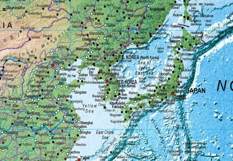 Carta da parati Mappa del mondo: cartografia tradizionale 95019 additionalImage 4