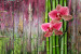 Carta da parati moderna Orchidee al centro - motivo floreale su sfondo di legno con bambù 60239