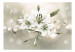 Carta da parati Lily - Flower of Masters 64639 additionalThumb 1