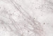 Carta da parati Nebbia - corona di albero in bianco con elementi rosa 143449 additionalThumb 3