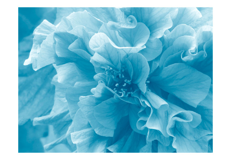Carta da parati moderna Azalee Blu - primo piano sui petali dei fiori in colori vivaci 60449 additionalImage 1