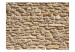 Carta da parati Vecchio muro di pietra - disegno con muratura in pietra sabbia 60989 additionalThumb 1